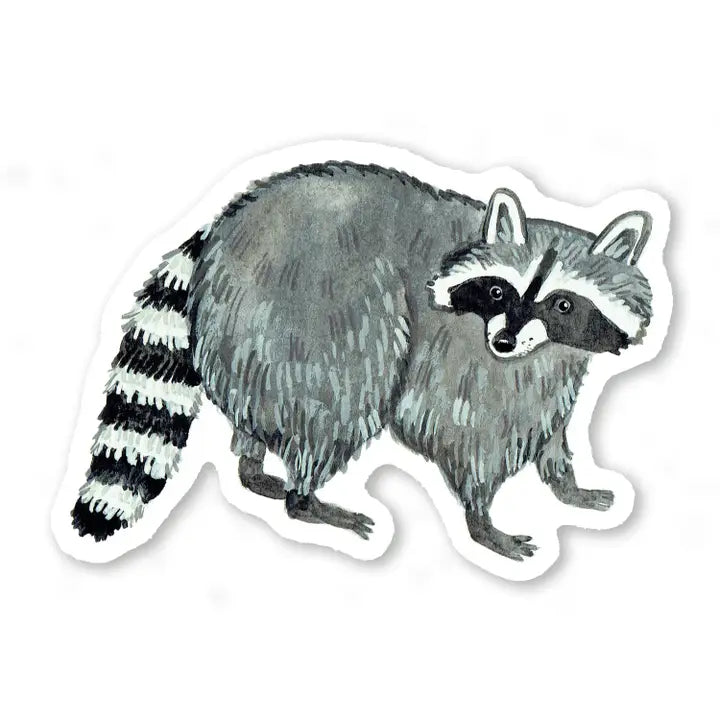 Raccoon Sticker