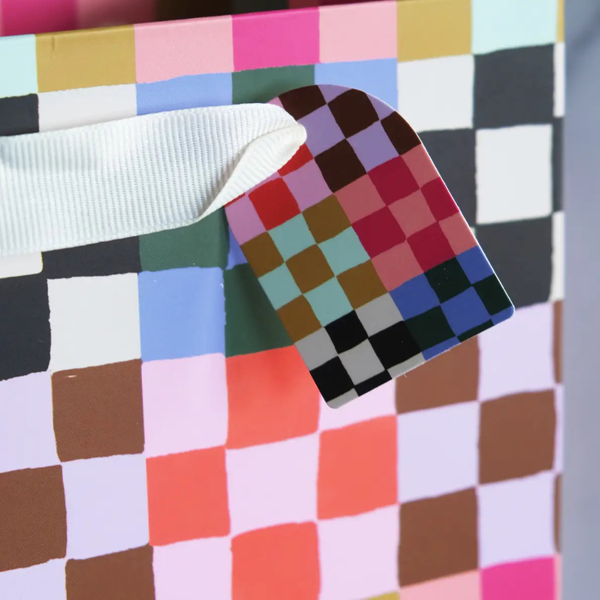 Rainbow Check Gift Bag