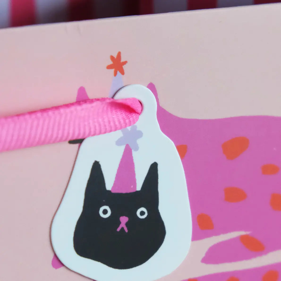 Party Cats Gift Bag