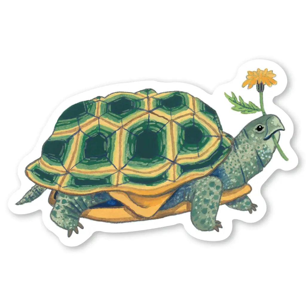 Turtle Sticker