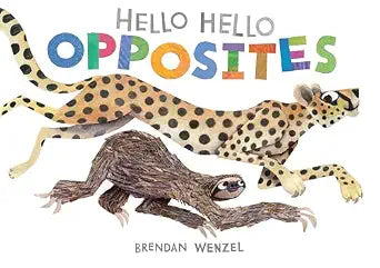 Hello Hello Opposites