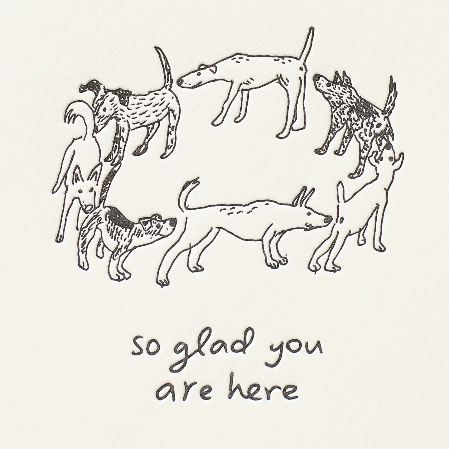 So Glad You're Here Greeting Card