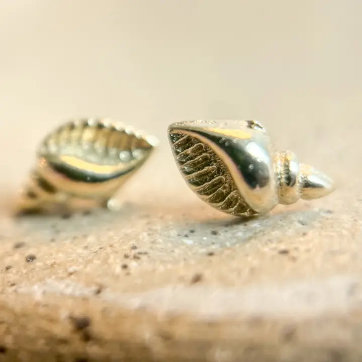 Seashell Studs