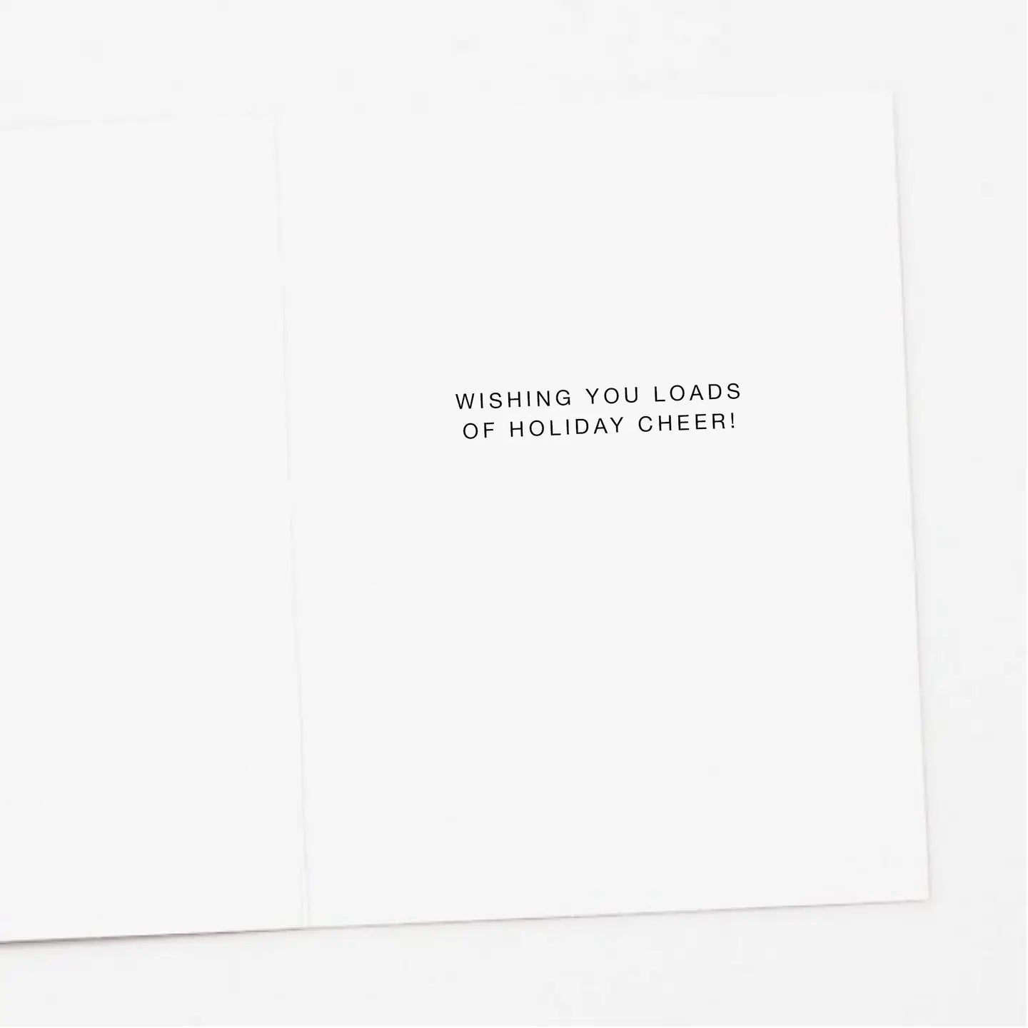 Christmas Joy Raccoon Card Box Set