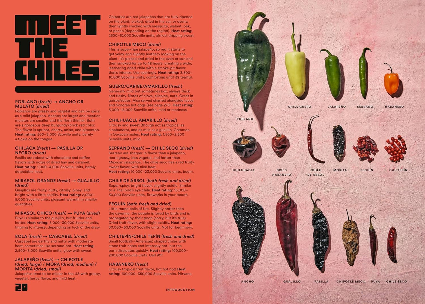 Salsa Daddy: A Cookbook