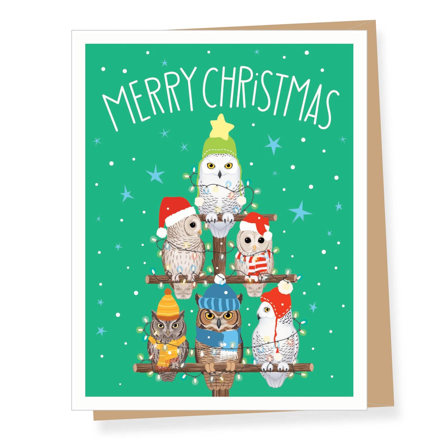 Merry Christmas Owl Card