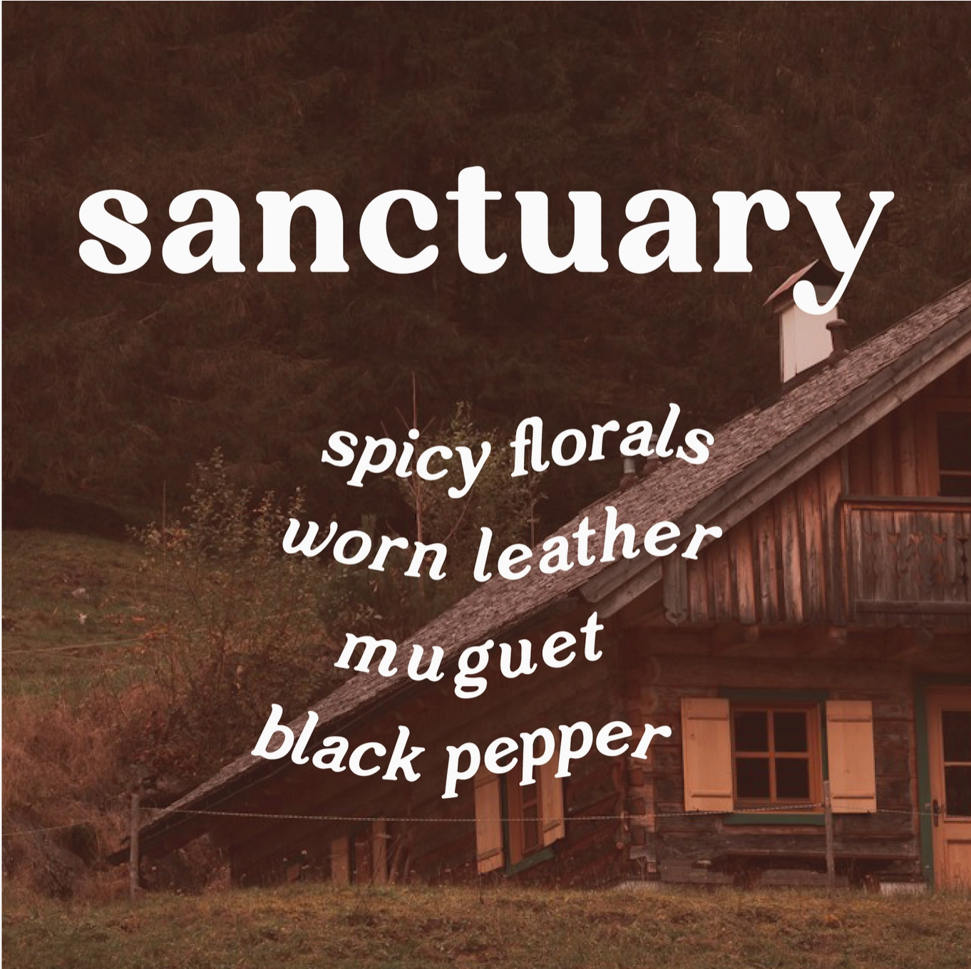 Sanctuary - Leather + Incense