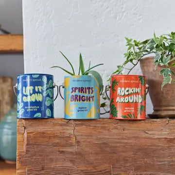 Holiday Agave Grow Kit