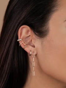 Long Link Earrings