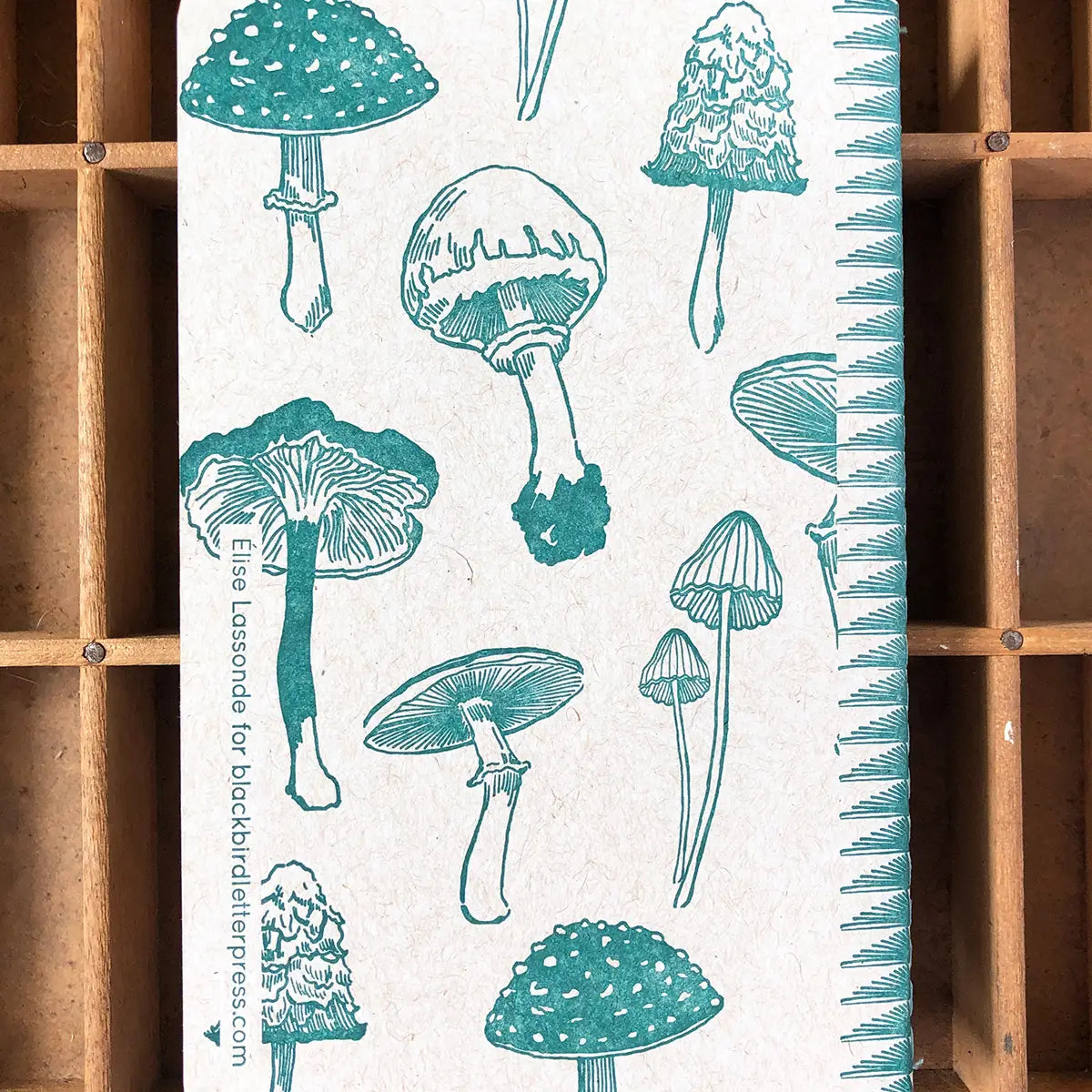 Mushroom Notebook