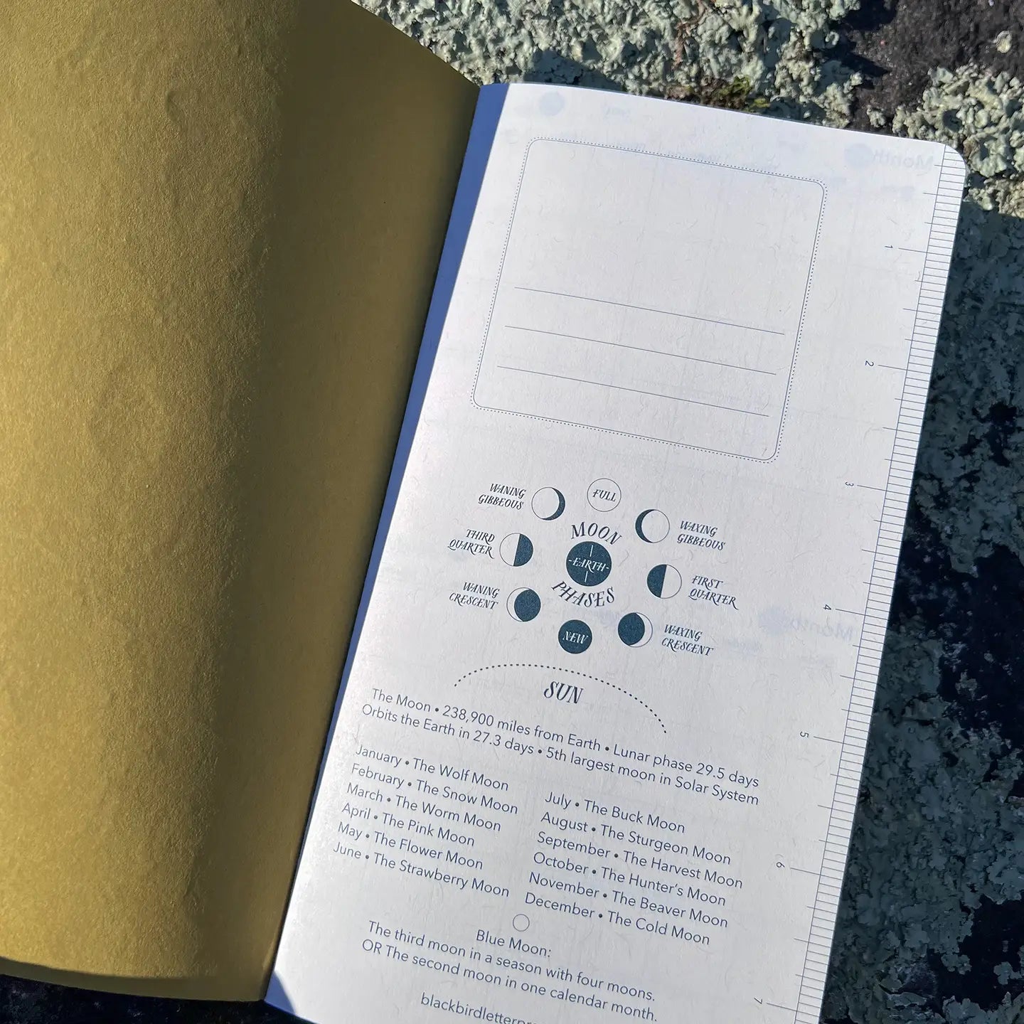 Mushroom Woodland Weekly Planner