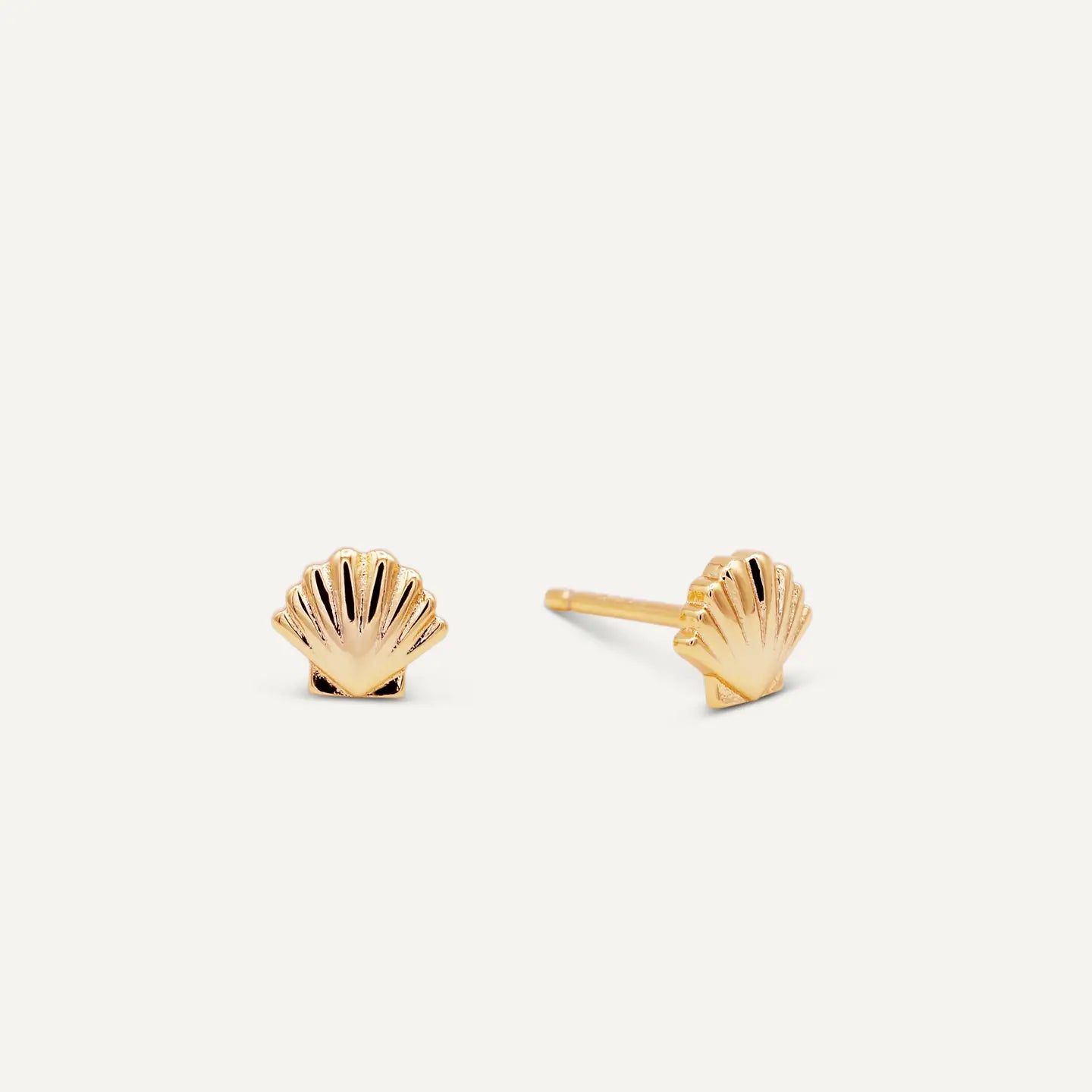 Gold Seashell Earrings