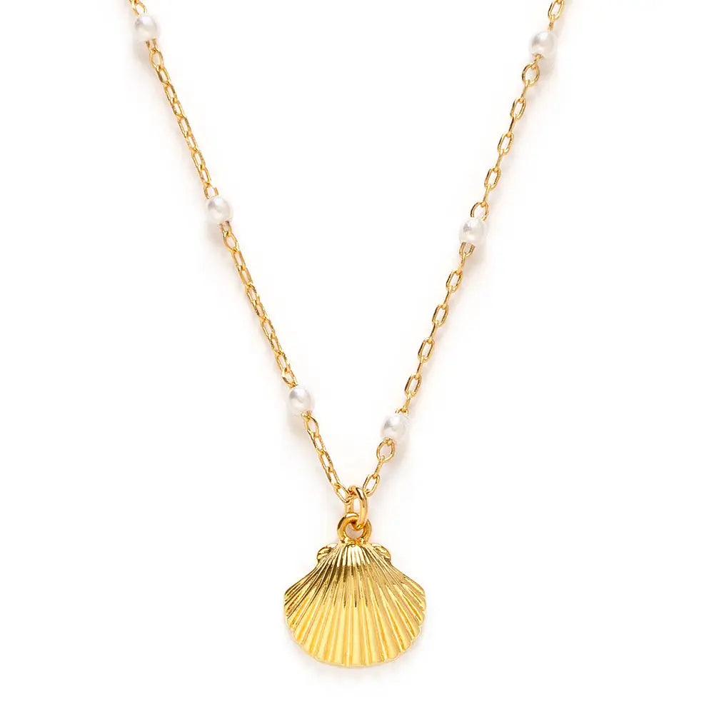 Scallop Shell and Pearl Station Chain Necklace