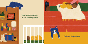 Cat's First Baby Board Book