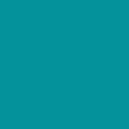 Light Blue Fine Tip Le Pen