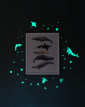Load image into Gallery viewer, Sea Animals Glow in the Dark Sticker Set