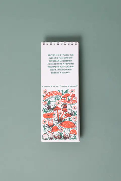 2027 Phoebe Wahl Postcard Wall Calendar