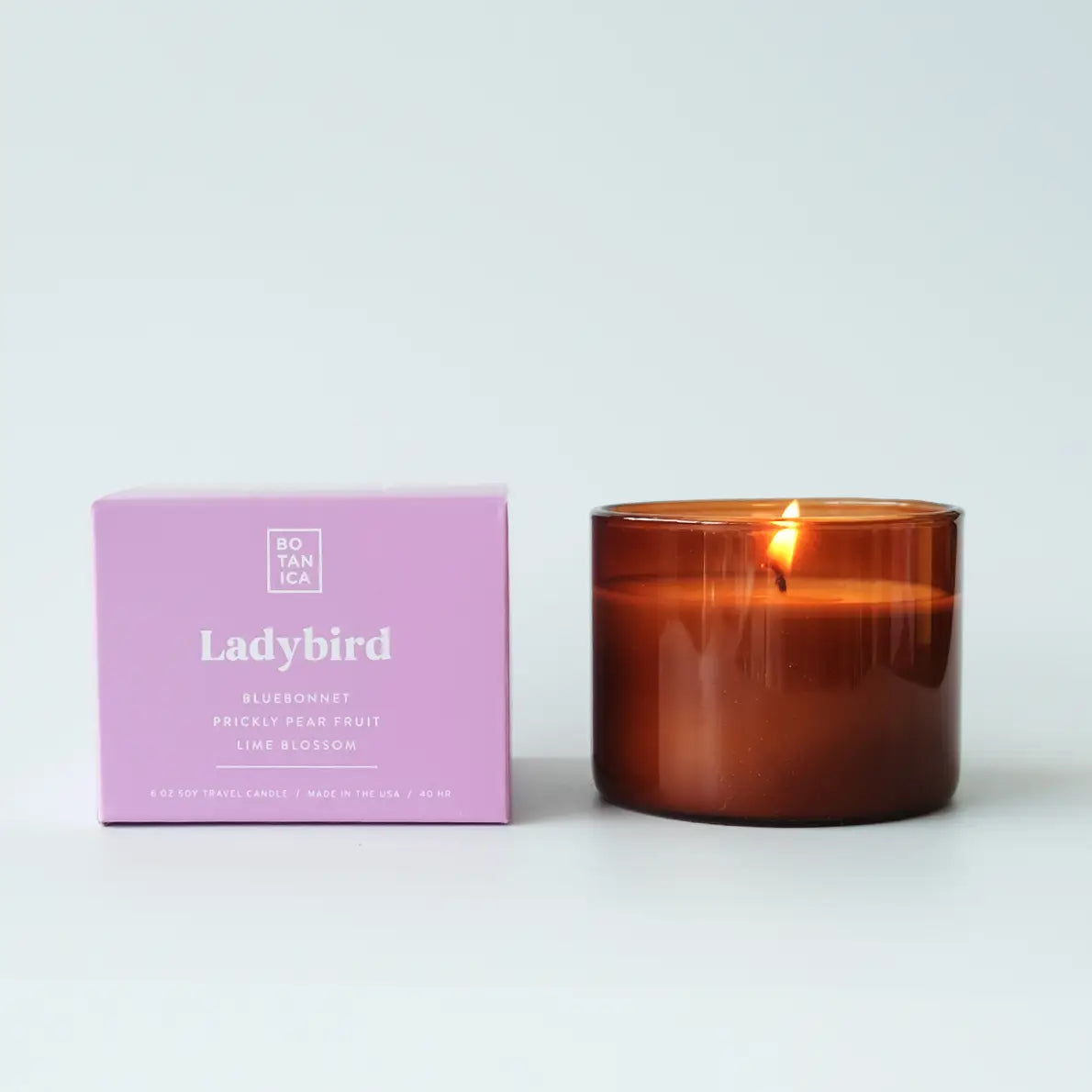 Ladybird Candle