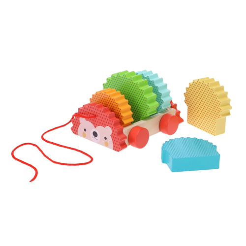 Colorful Hedgehog Wooden Pull Along Toy