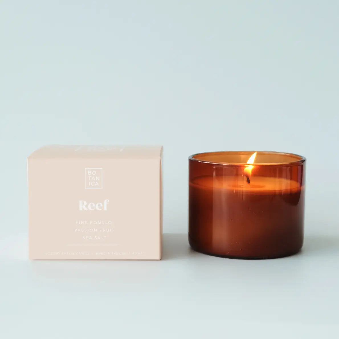 Reef Candle