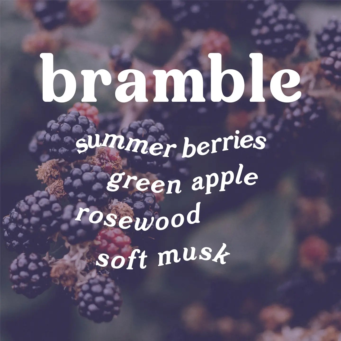 Bramble - Blackberry + Rosewood