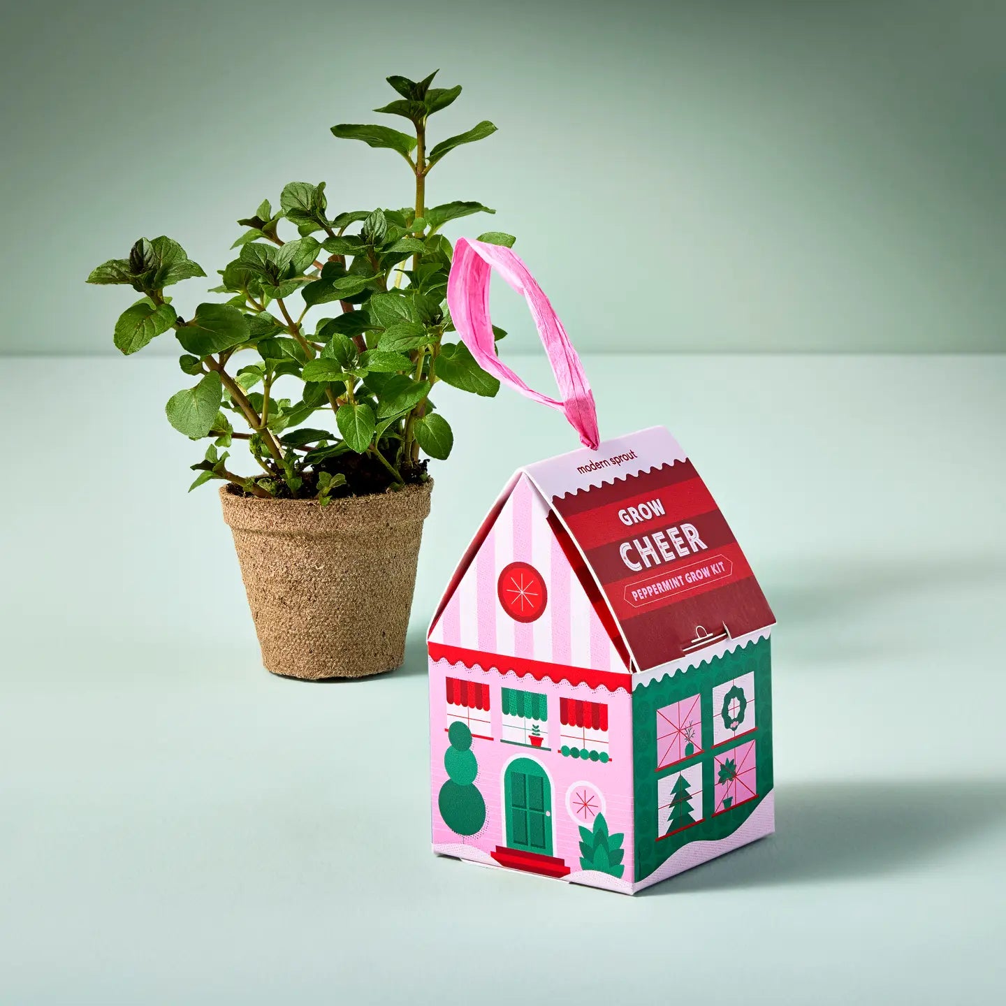 Ornament Grow Kits