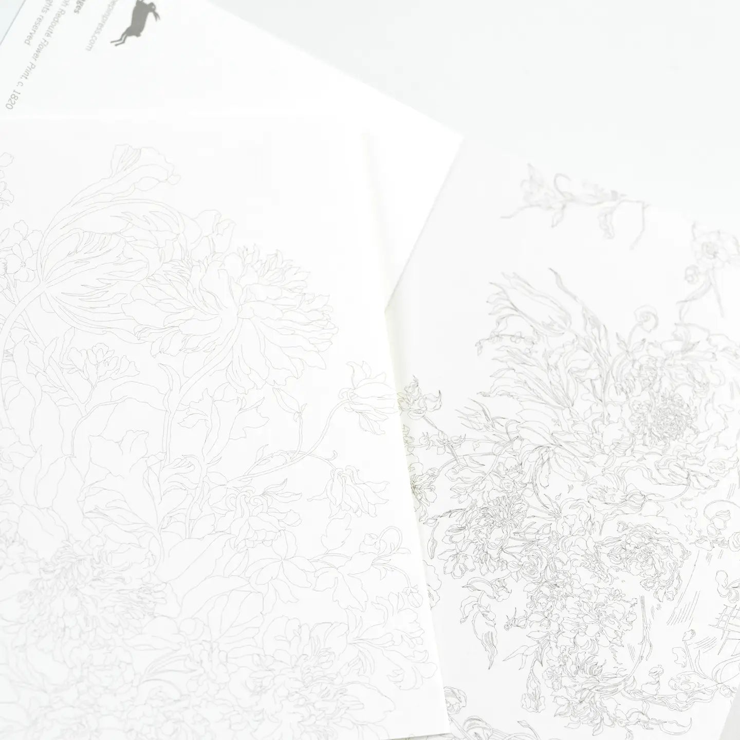 Floral Images Watercolour Postcard Book