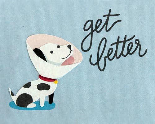 Get Better Dog Card