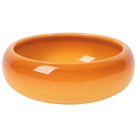 Canyon Opus Dish