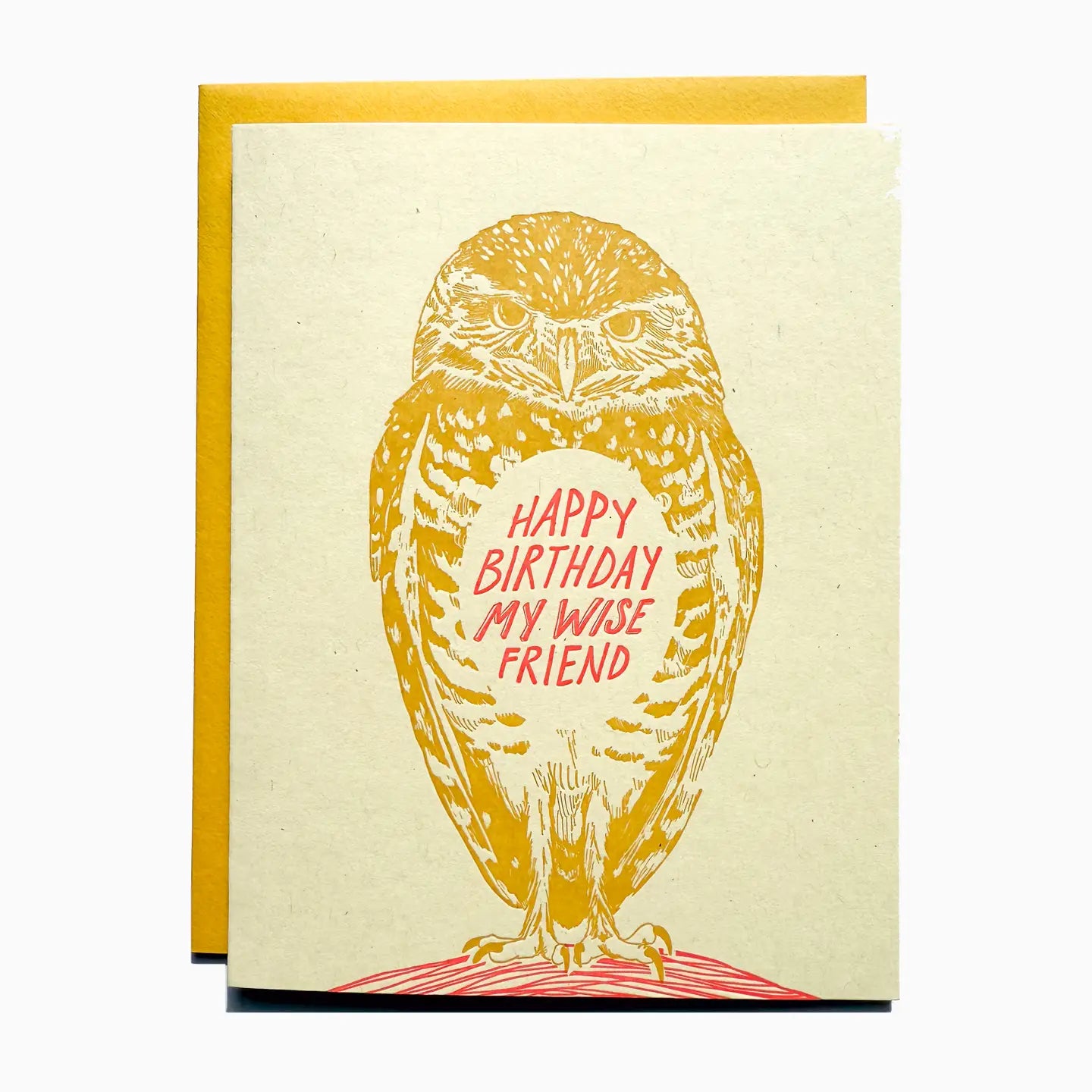 Wise Friend Birthday Card