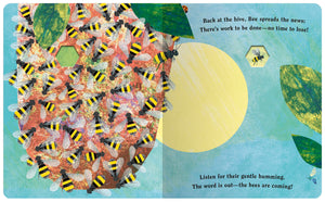 Bee, A Peek Through Board Book
