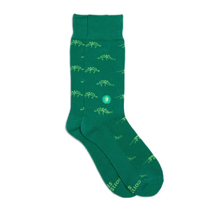 Green Dinosaur Socks that Give Books