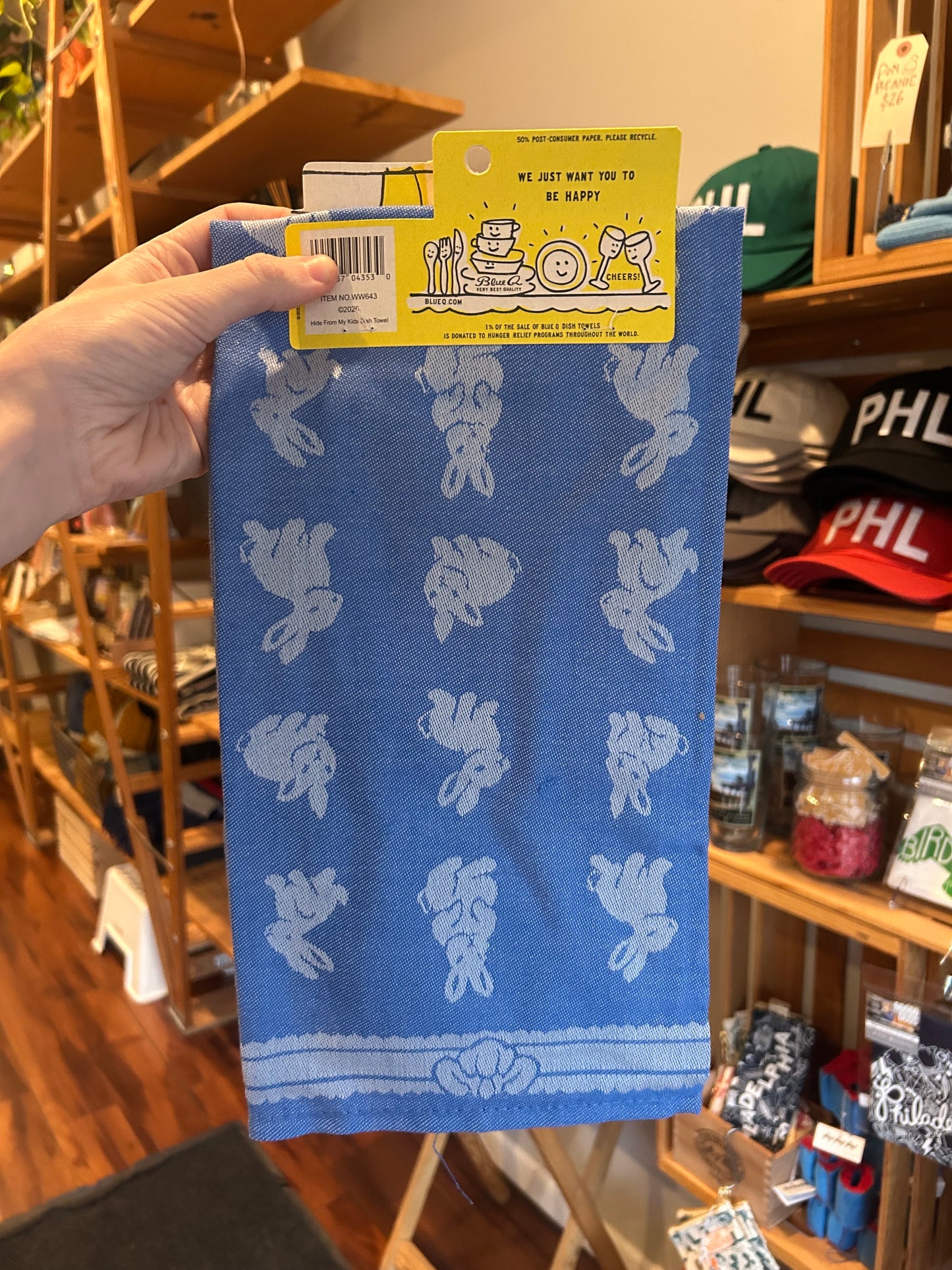 Hide From My Kids Dish Towel