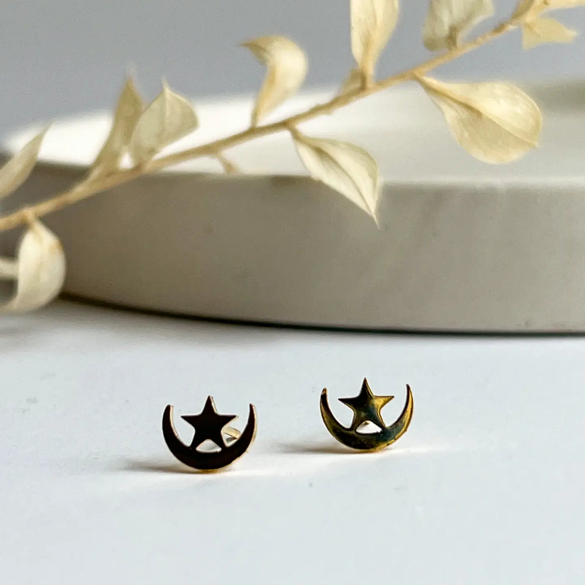 Moon and Star Stud Earrings