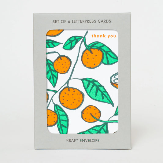 Citrus Thank You Greeting Cards - Boxed Set
