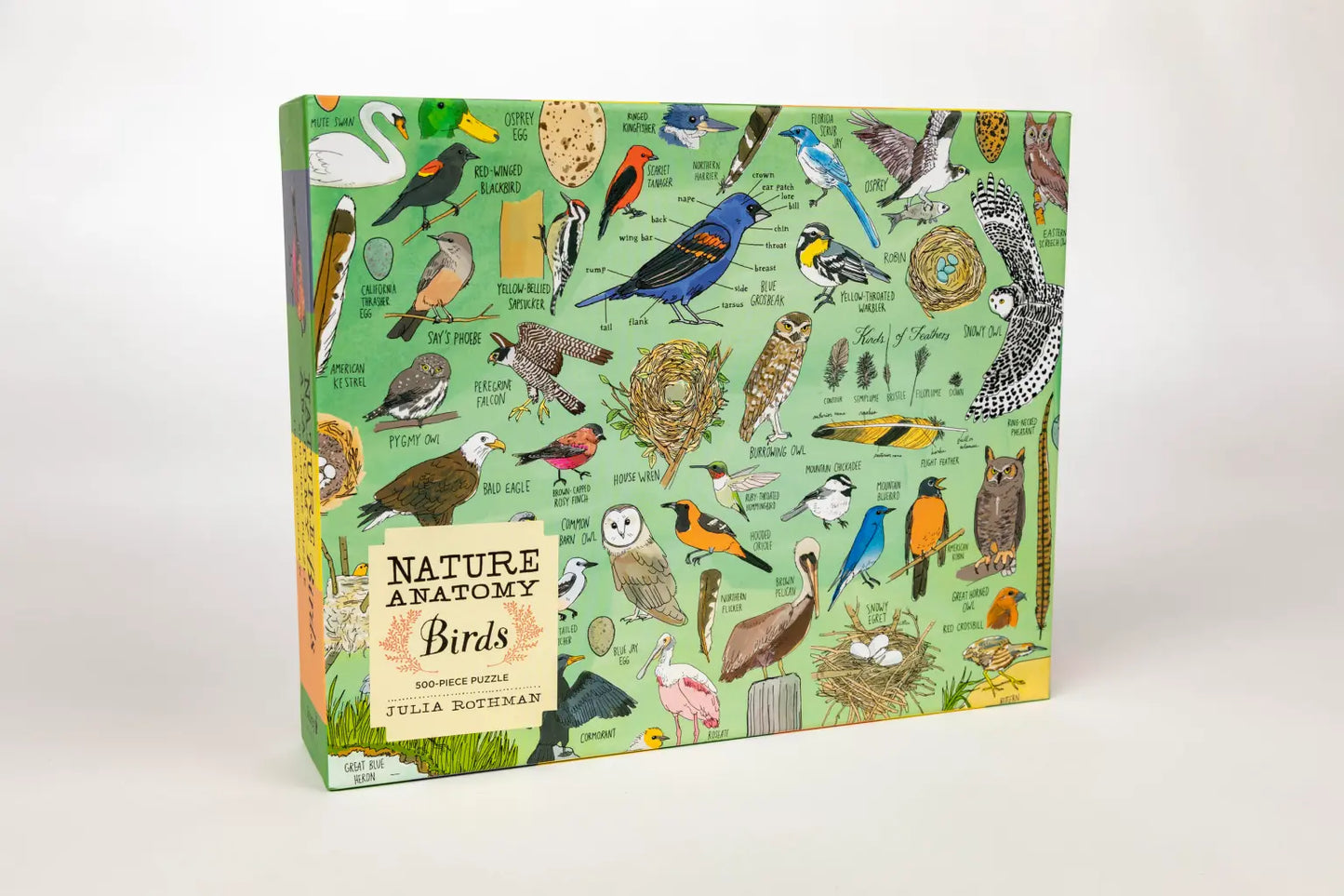 Nature Anatomy: Birds 500-Piece Puzzle