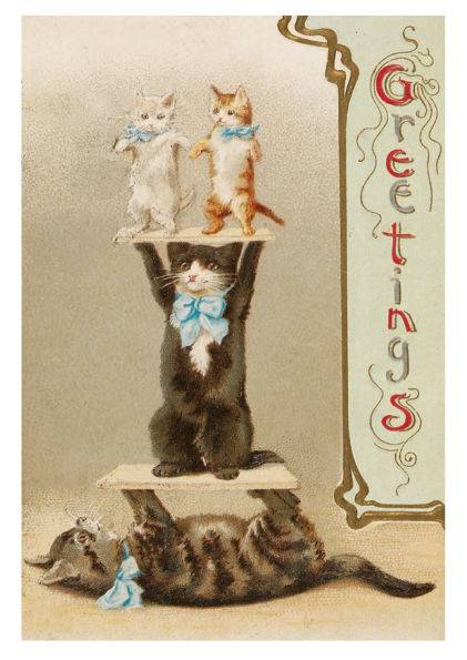 Cats of the V&A: 50 Postcards