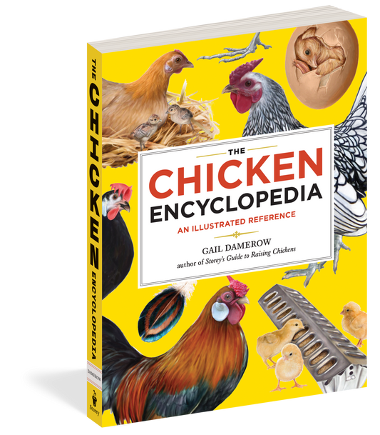 The Chicken Encyclopedia