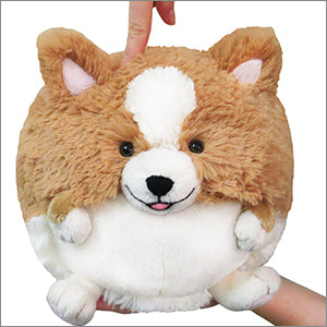 Corgi Mini Squishable