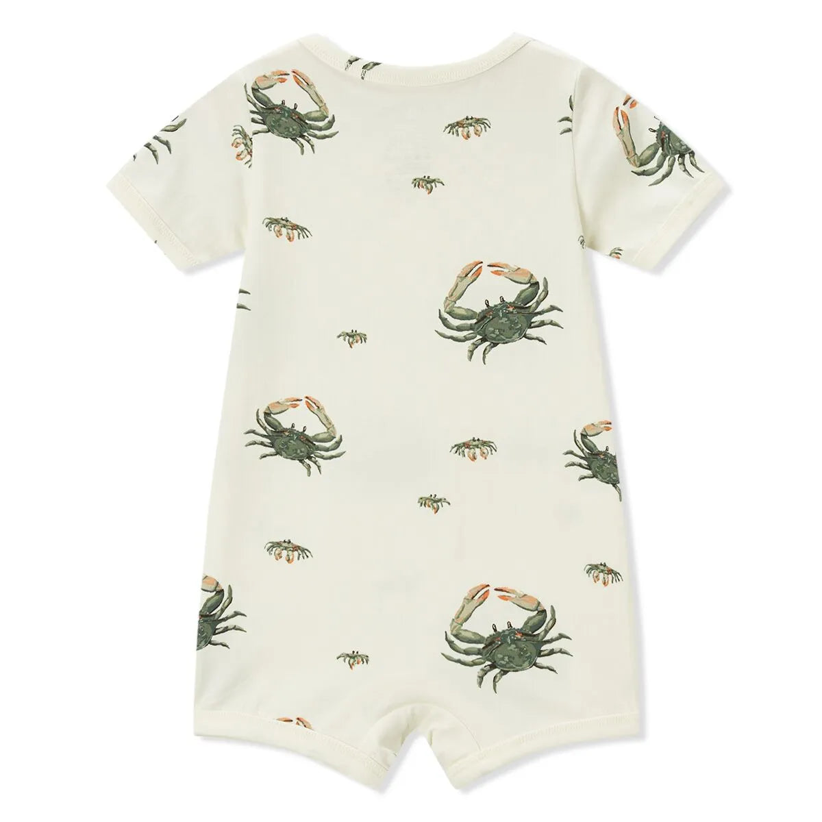 Coastal Crab Stretch Shortall