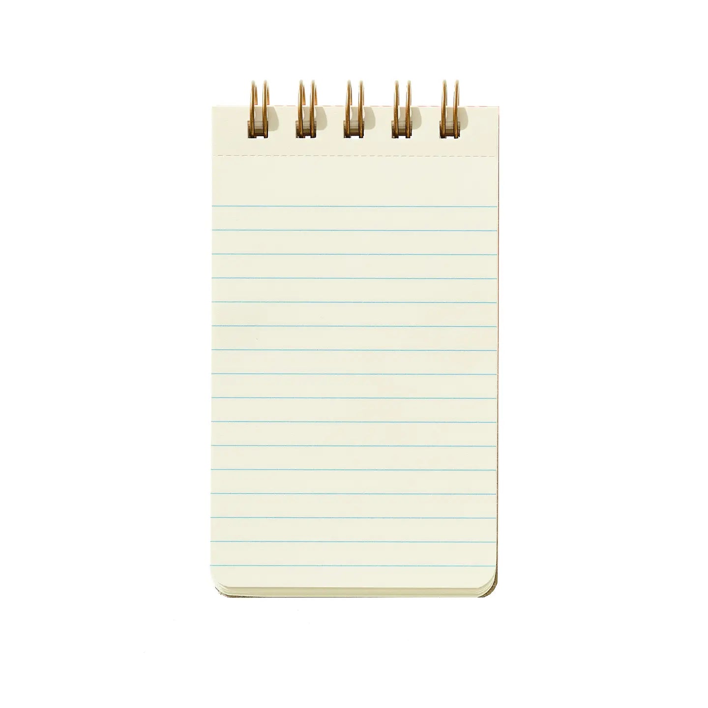 Ditsy Floral Reporter Notebook