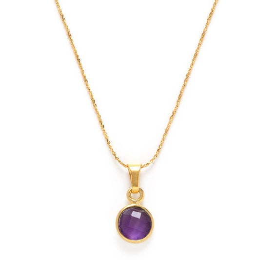 February Amethyst Birthstone Necklace