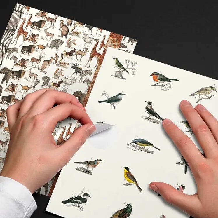 Fauna Label, Sticker, and Tape Book