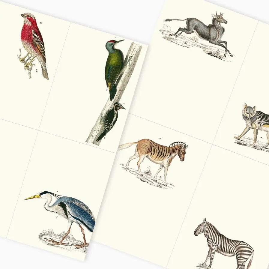 Fauna Label, Sticker, and Tape Book