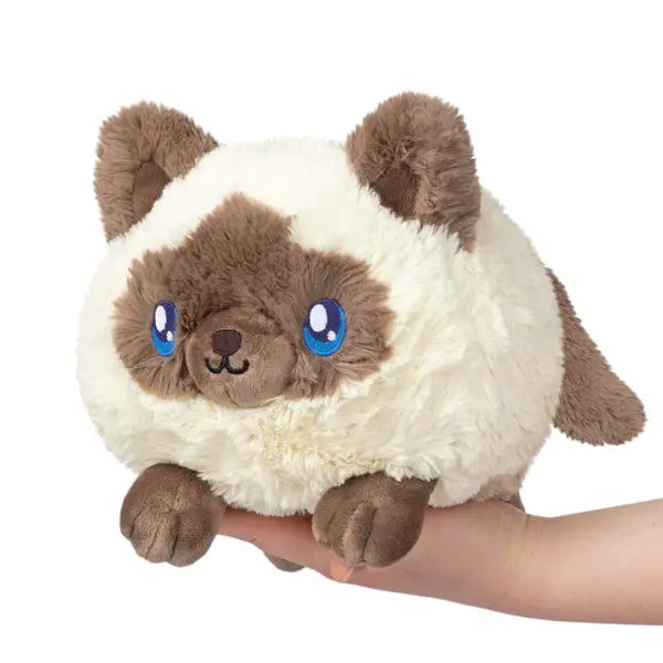 Mini Colorpoint Kitty Squishable
