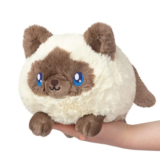 Mini Colorpoint Kitty Squishable