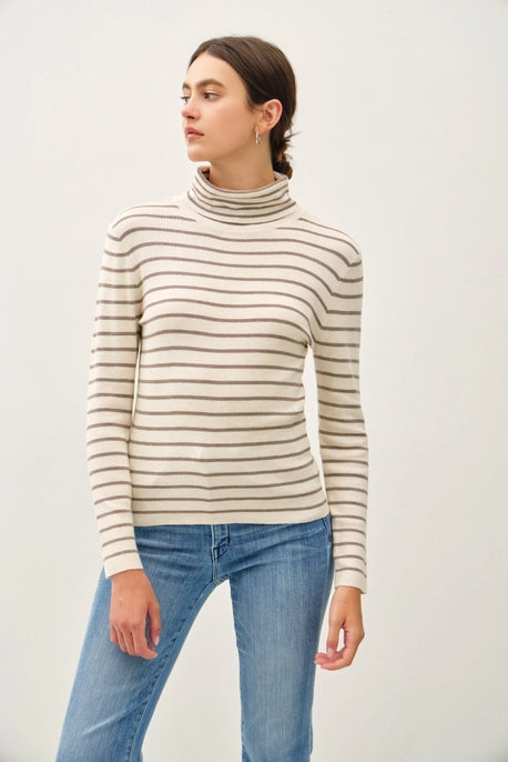 Striped Turtleneck Sweater