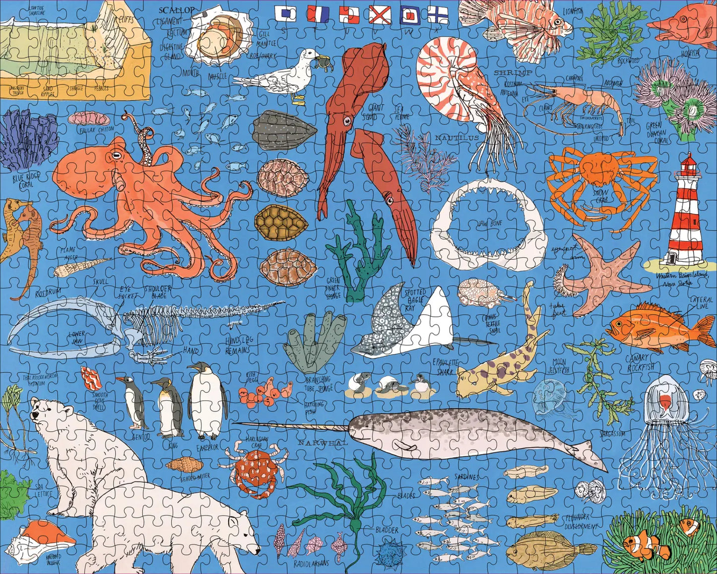 Ocean Anatomy 500-Piece Puzzle
