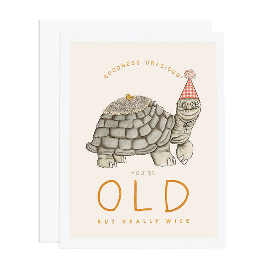 Old Turtle Greeting Card