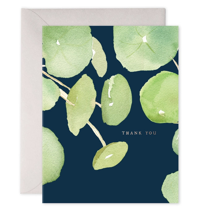 Pancake Plant Thank You Boxed Notecards